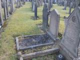 image of grave number 516840